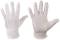 Baumwoll Trikot Handschuh reinwei� Gr. 8 - Bild vergr��ern 