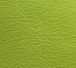 Leder kiwi - Produktbild 
