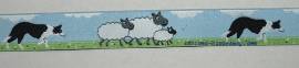 Webband Border Collie - H�tehund - Bild vergr��ern 