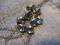 Synthetic Crystal Rivets blau