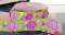 Webband Fische USA Import NEU!!!