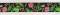 Webband Tropical Garden USA Import