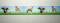 Ripsband Windhunde