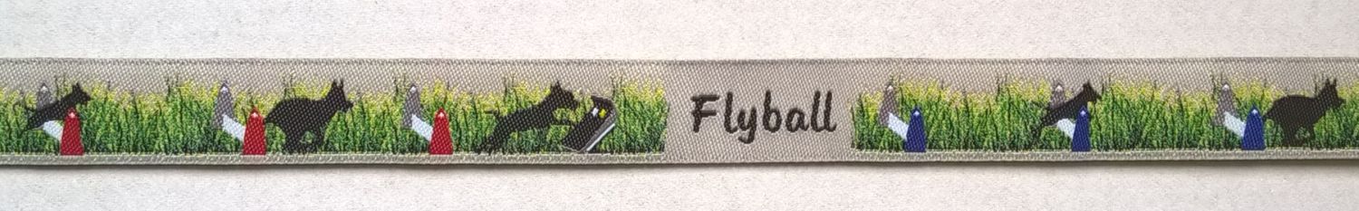 Webband Flyball