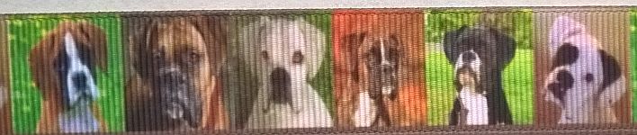 Ripsband Boxer