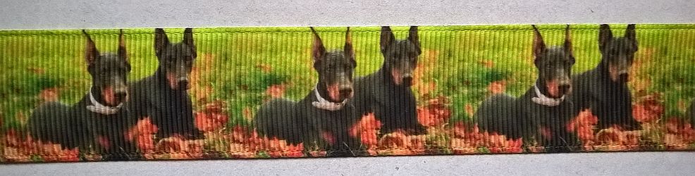 Ripsband Dobermann