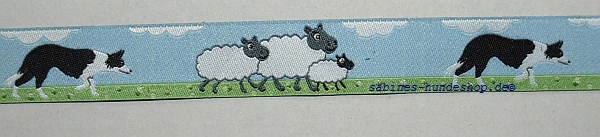 Webband Border Collie