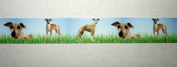 Ripsband Whippet Windhunde